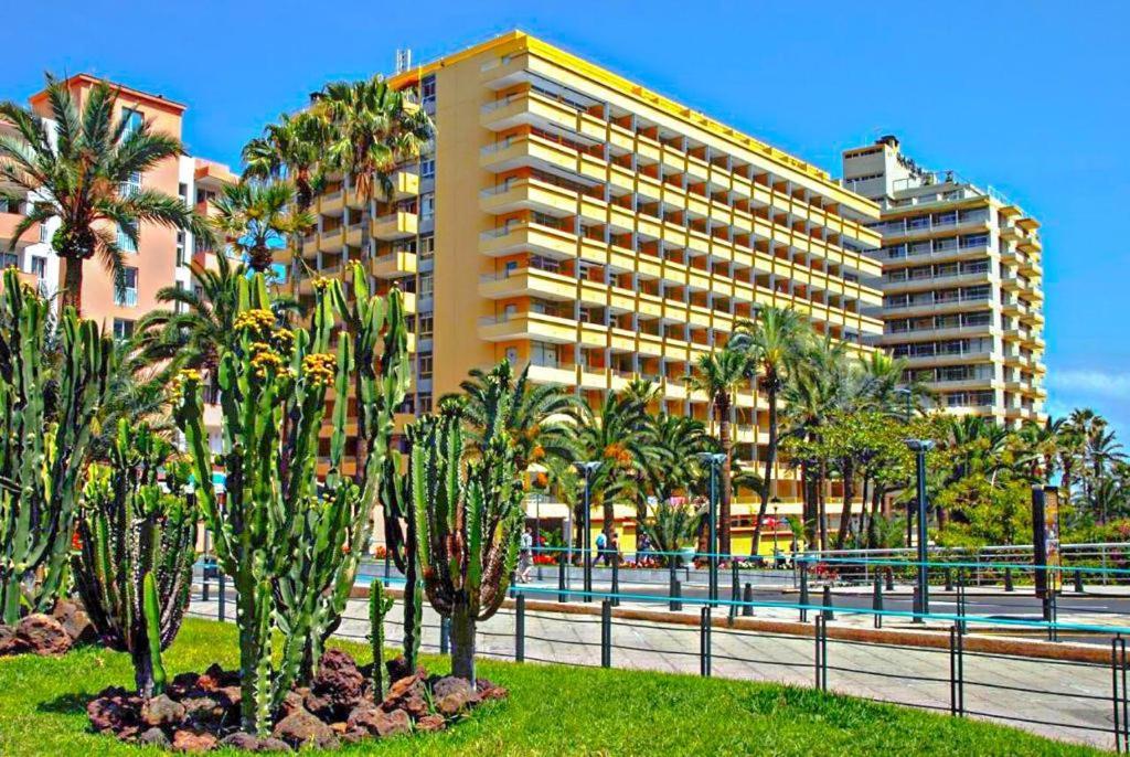 Amplio Estudio En Martianez Puerto de la Cruz  Exterior foto